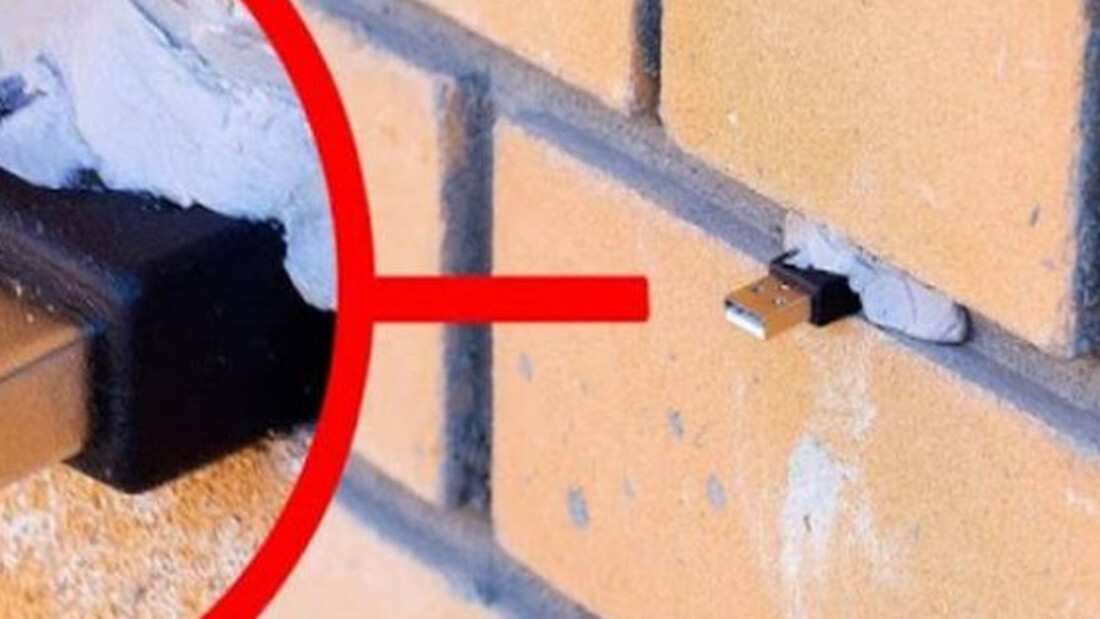 Προσοχή: Τι να κάνετε όταν θα δείτε αυτό σε έναν τοίχο