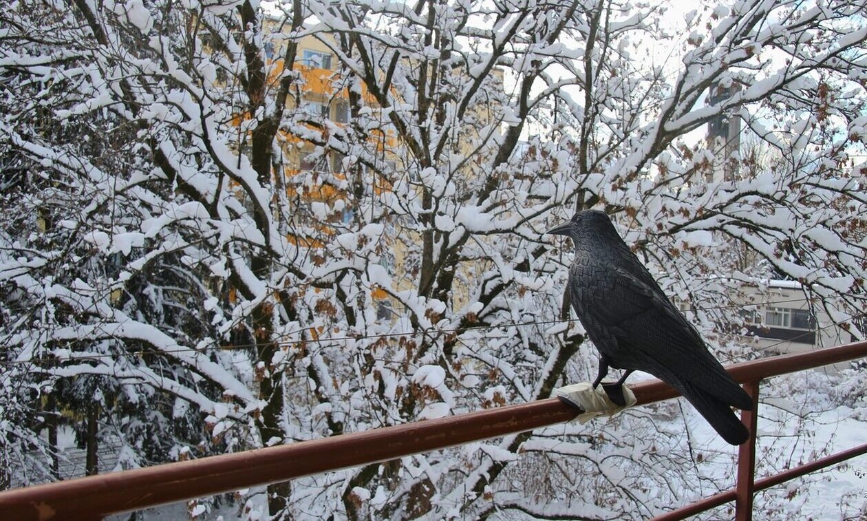 Το μερομήνια του Αγίου Μηνά «μίλησα» - Τι έδειξαν για τον φετινό χειμώνα