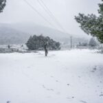 Η ΕΜΥ «κλείδωσε» την ημερομηνία: Η μέρα που θα χιονίσει – Δείτε πού