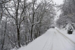 Μερομήνια: Λευκά Χριστούγεννα και χιονοπτώσεις
