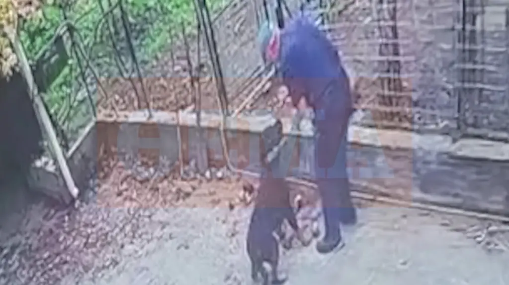 Θανατώθηκε το ροτβάιλερ που επιτέθηκε σε 76χρονο – Τι λέει ο γιος του