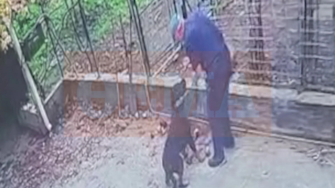 Θανατώθηκε το ροτβάιλερ που επιτέθηκε σε 76χρονο - Τι λέει ο γιος του