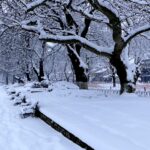 Σκανδιναβικό ψύχος στο τέλος του 2025 – Ραγδαία πτώση θερμοκρασίας και λίγα χιόνια σε χαμηλά υψόμετρα