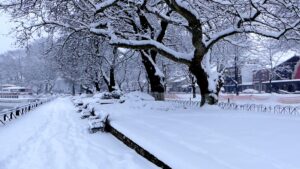 Σκανδιναβικό ψύχος στο τέλος του 2025 – Ραγδαία πτώση θερμοκρασίας και λίγα χιόνια σε χαμηλά υψόμετρα