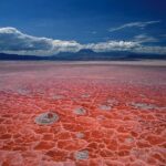 Η πιο θανατηφόρα λίμνη στον κόσμο – Μετατρέπει τα ζώα σε πέτρες