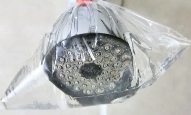 Πώς να καθαρίσετε τα άλατα του ντους με μια σακούλα