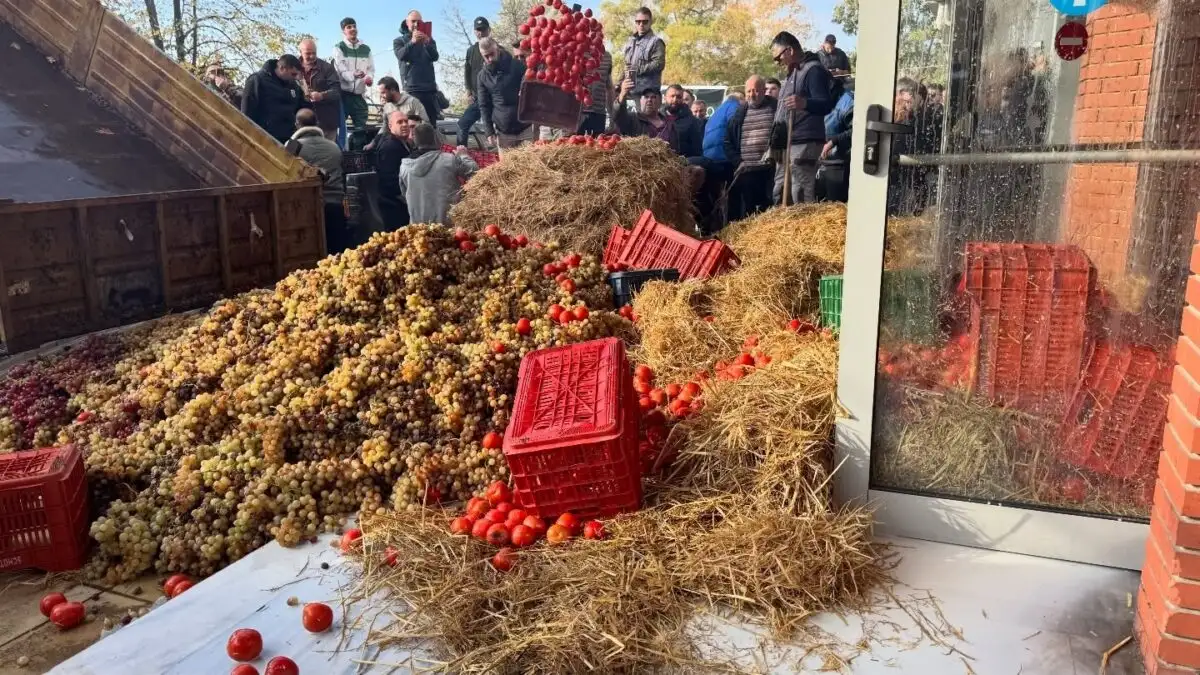 Καβάλα: Αγρότες «πολιορκούν» δημόσιες υπηρεσίες με άχυρα, γάλα και ντομάτες σε πρωτοφανή έκρηξη αγανάκτησης