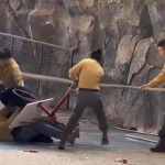 Μαύρη αρκούδα επιτέθηκε σε εργαζόμενο ζωολογικού πάρκου – Βίντεο σοκ