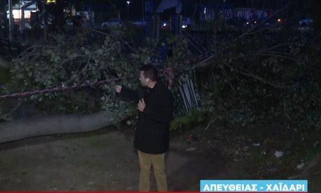 Σοκ! Γιγαντιαίο δέντρο ισοπέδωσε παιδική χαρά στο Χαϊδάρι