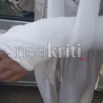 Σοκ στην Κρήτη: «Αν χτυπούσε εμένα, θα είχα σκοτωθεί»