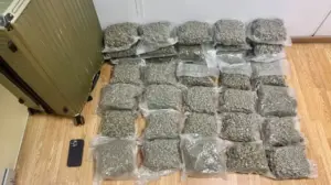 Συνελήφθη 21χρονος με 18,2 κιλά κάνναβης στο «Ελ. Βενιζέλος»