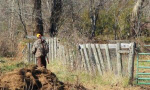 Αδιανόητη τραγωδία: Νεκρός μπροστά στα μάτια του πατέρα του