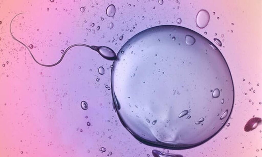 Γυναίκα γέννησε τρίδυμα κορίτσια από δύο διαφορετικά ωάρια!