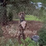 Τραγωδία στη Ζάκυνθο: Σπάει τη σιωπή της η μητέρα του 2χρονου παιδιού