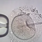 Αγωνία για 11 ελληνικές οικογένειες: Ο Δανός δότης με το μεταλλαγμένο γονίδιο και ο θάνατος παιδιού που άναψε συναγερμό