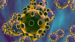 Απειλή για φάλαινες στον Αρκτικό: Εντοπίστηκε θανατηφόρος ιός