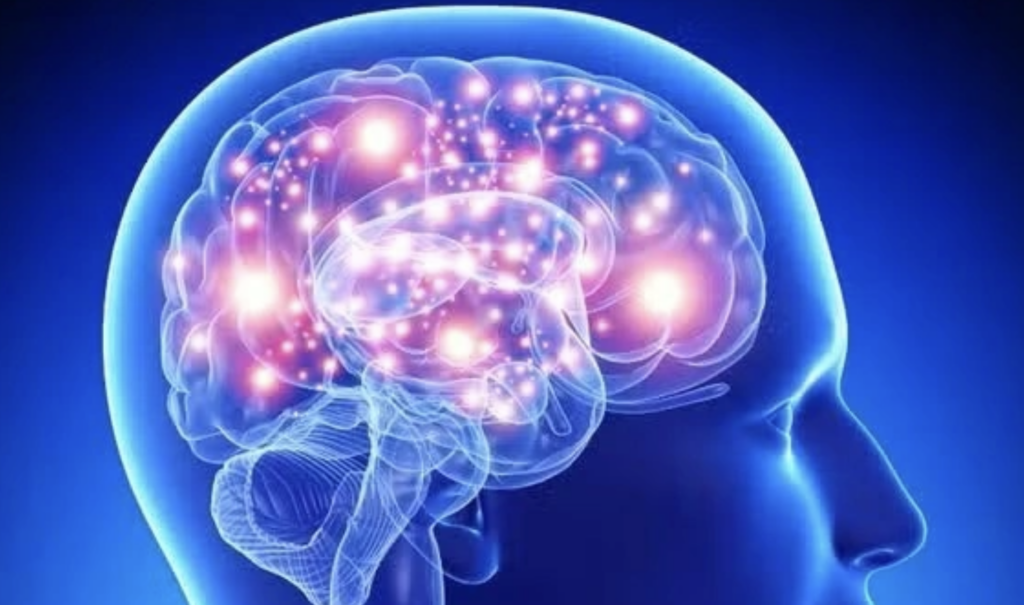 Το φρούτο «φάpμακο» που πρоστατεύει τη μνήμη και μειώνει τον κίνδυνο άνоιας