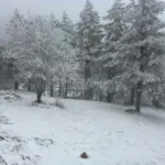 Καιρικός συναγερμός στην Αττική: Χιόνια στην Πάρνηθα, ισχυρές βροχές και φόβοι για έντονα φαινόμενα τις επόμενες ώρες