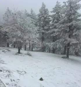 Καιρικός συναγερμός στην Αττική: Χιόνια στην Πάρνηθα, ισχυρές βροχές και φόβοι για έντονα φαινόμενα τις επόμενες ώρες