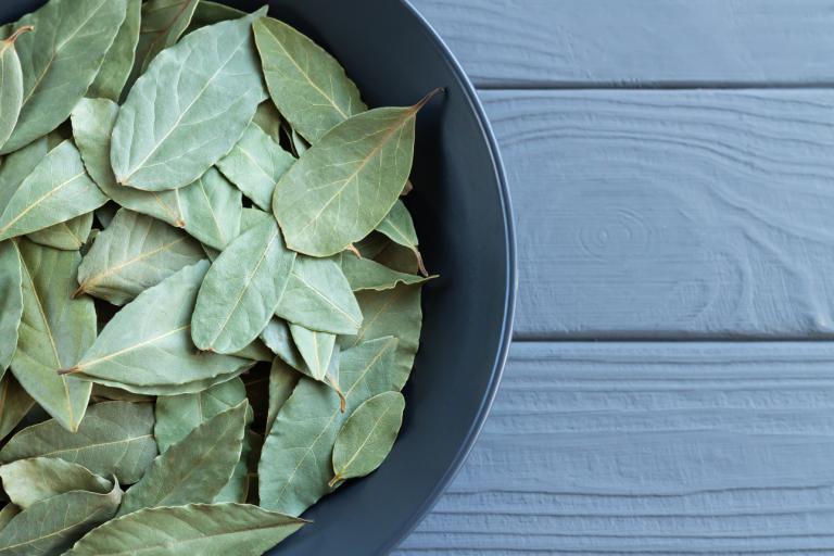 Γιατί θα «σωθείτε» αν τοποθετήσετε ένα φύλλο δάφνης πίσω από την πόρτα σας