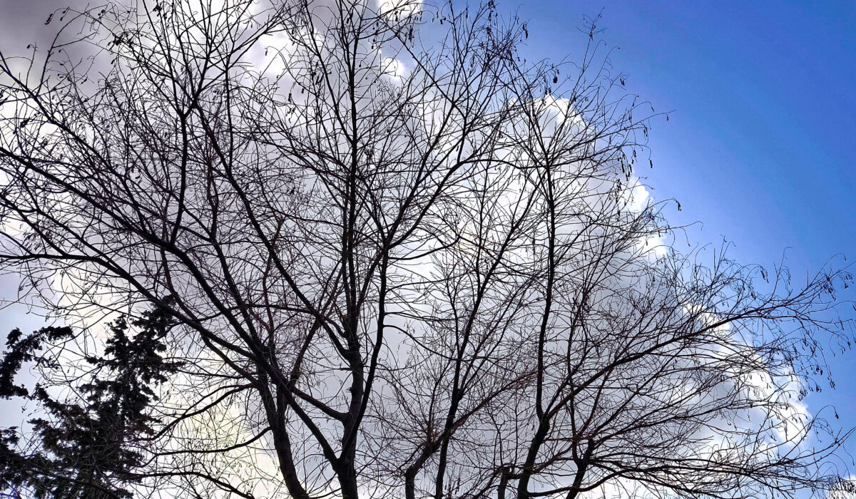 Ξεχάστε το κρύο: Μέχρι πότε θα είναι καλός ο καιρός τον Ιανουάριο