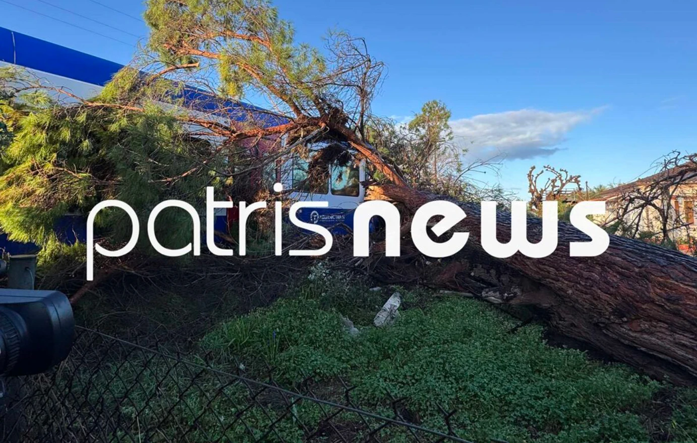 Συναγερμός στο δρομολόγιο Πύργος–Κατάκολο: Πεύκο έπεσε σε τρένο και τραυμάτισε τον μηχανοδηγό