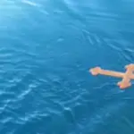 Αναστάτωση στα Θεοφάνια της Λεμεσού: Ο σταυρός εξαφανίστηκε μετά τη ρίψη στη θάλασσα
