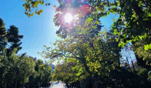 Πώς θα εξελιχθεί ο καιρός τις επόμενες ημέρες