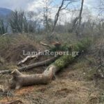 Τραγωδία: Δέντρο καταπλάκωσε και σκότωσε άνδρα μπροστά στη σύζυγό του