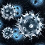 Συναγερμός στην Ευρώπη: Πρώτο κρούσμα σε άνθρωπο της γρίπης των πτηνών A(H9N2) στην Ιταλία