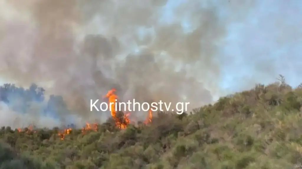 Φωτιά τώρα στα Σοφιανά Κορινθίας – Ισχυρές δυνάμεις στο σημείο